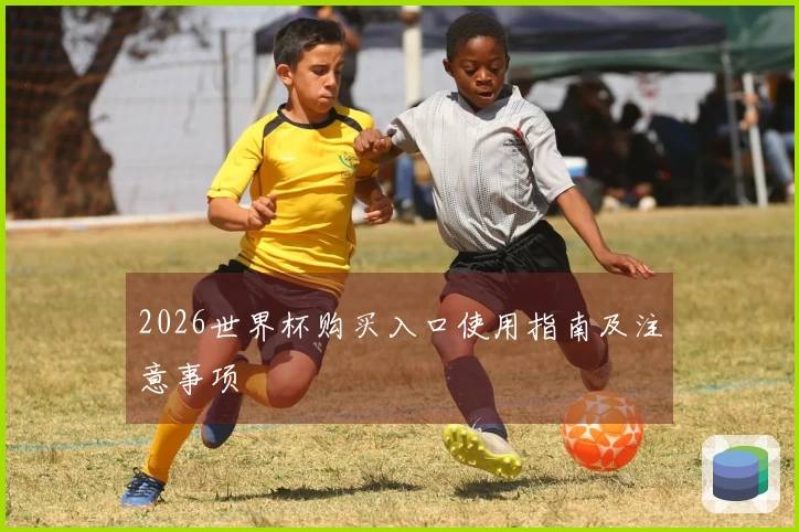 2026世界杯购买入口使用指南及注意事项