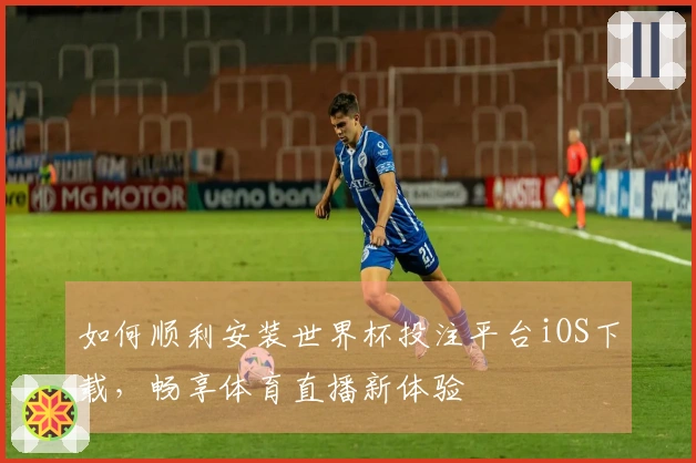 如何顺利安装世界杯投注平台iOS下载，畅享体育直播新体验