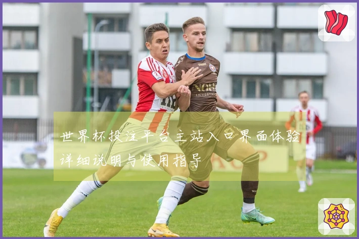 世界杯投注平台主站入口界面体验详细说明与使用指导