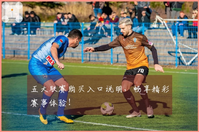 五大联赛购买入口说明，畅享精彩赛事体验！