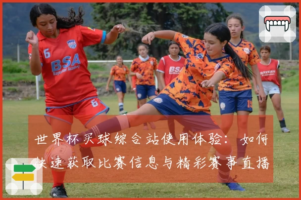 世界杯买球综合站使用体验：如何快速获取比赛信息与精彩赛事直播