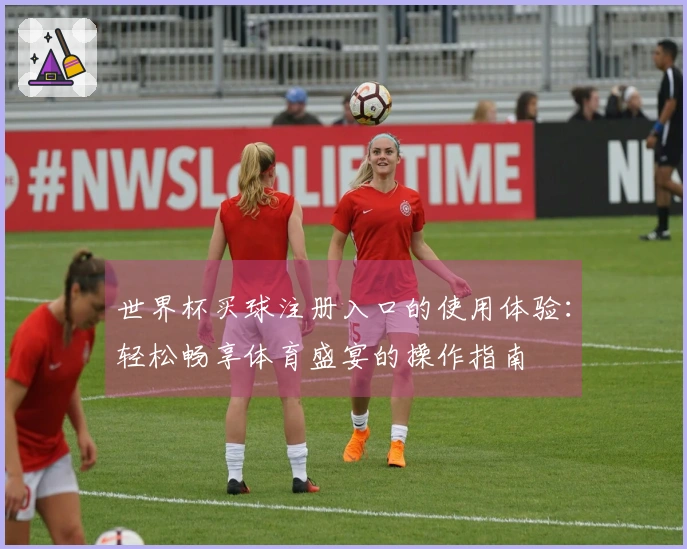 世界杯买球注册入口的使用体验：轻松畅享体育盛宴的操作指南