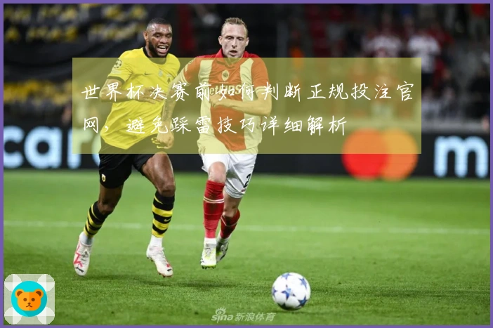 世界杯决赛前如何判断正规投注官网，避免踩雷技巧详细解析