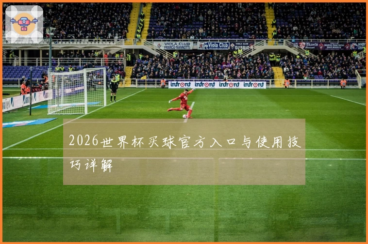 2026世界杯买球官方入口与使用技巧详解