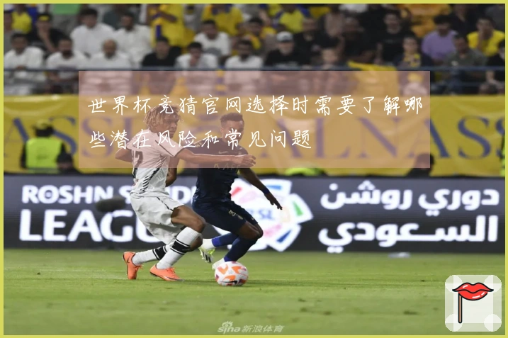 世界杯竞猜官网选择时需要了解哪些潜在风险和常见问题