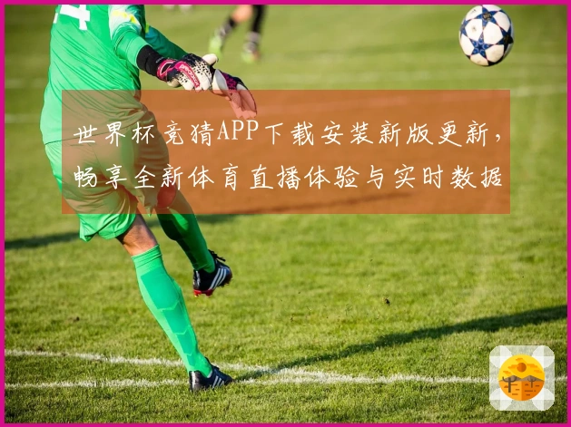 世界杯竞猜APP下载安装新版更新，畅享全新体育直播体验与实时数据服务