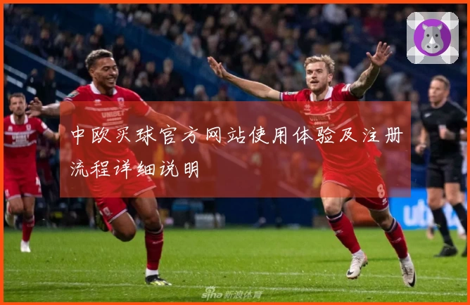 中欧买球官方网站使用体验及注册流程详细说明