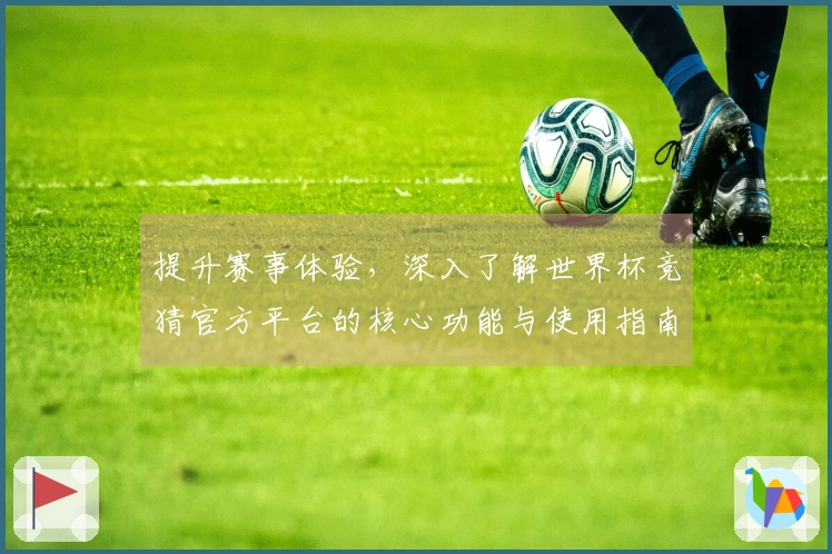 提升赛事体验,深入了解世界杯竞猜官方平台的核心功能与使用指南