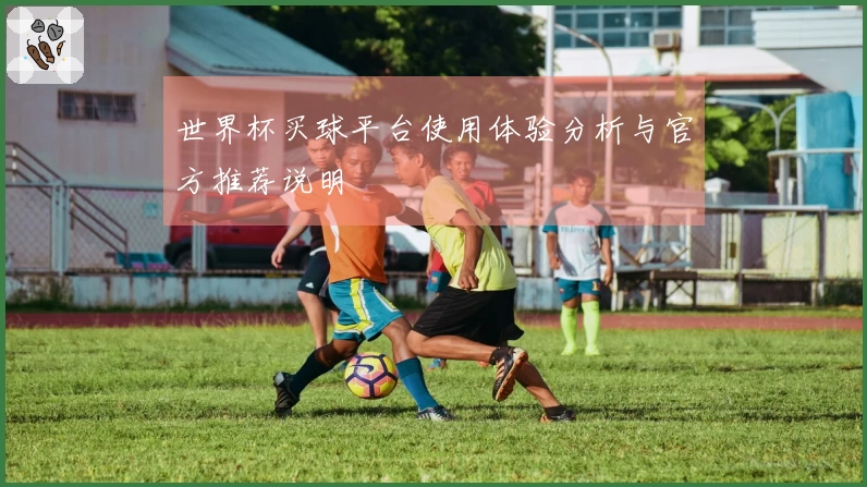 世界杯买球平台使用体验分析与官方推荐说明
