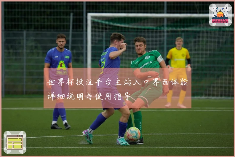 世界杯投注平台主站入口界面体验详细说明与使用指导
