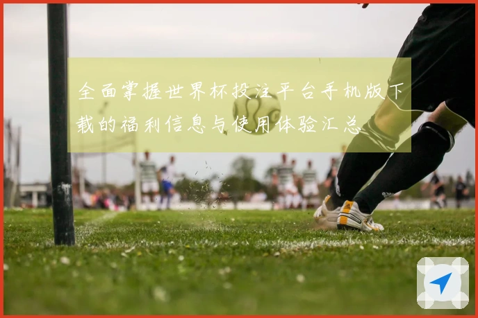 全面掌握世界杯投注平台手机版下载的福利信息与使用体验汇总