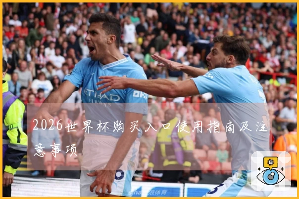 2026世界杯购买入口使用指南及注意事项