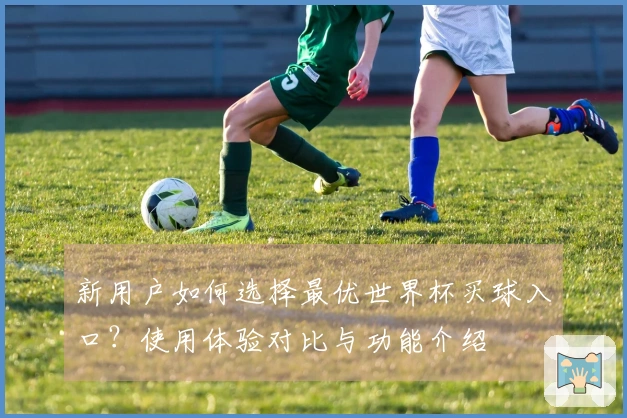 新用户如何选择最优世界杯买球入口？使用体验对比与功能介绍